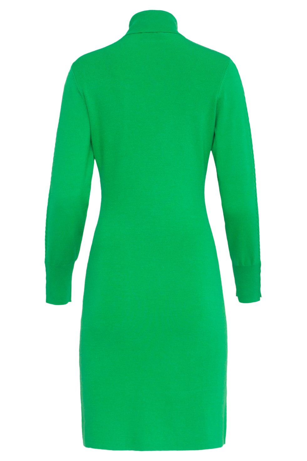 23841 Turtle Neck Jurk | Green