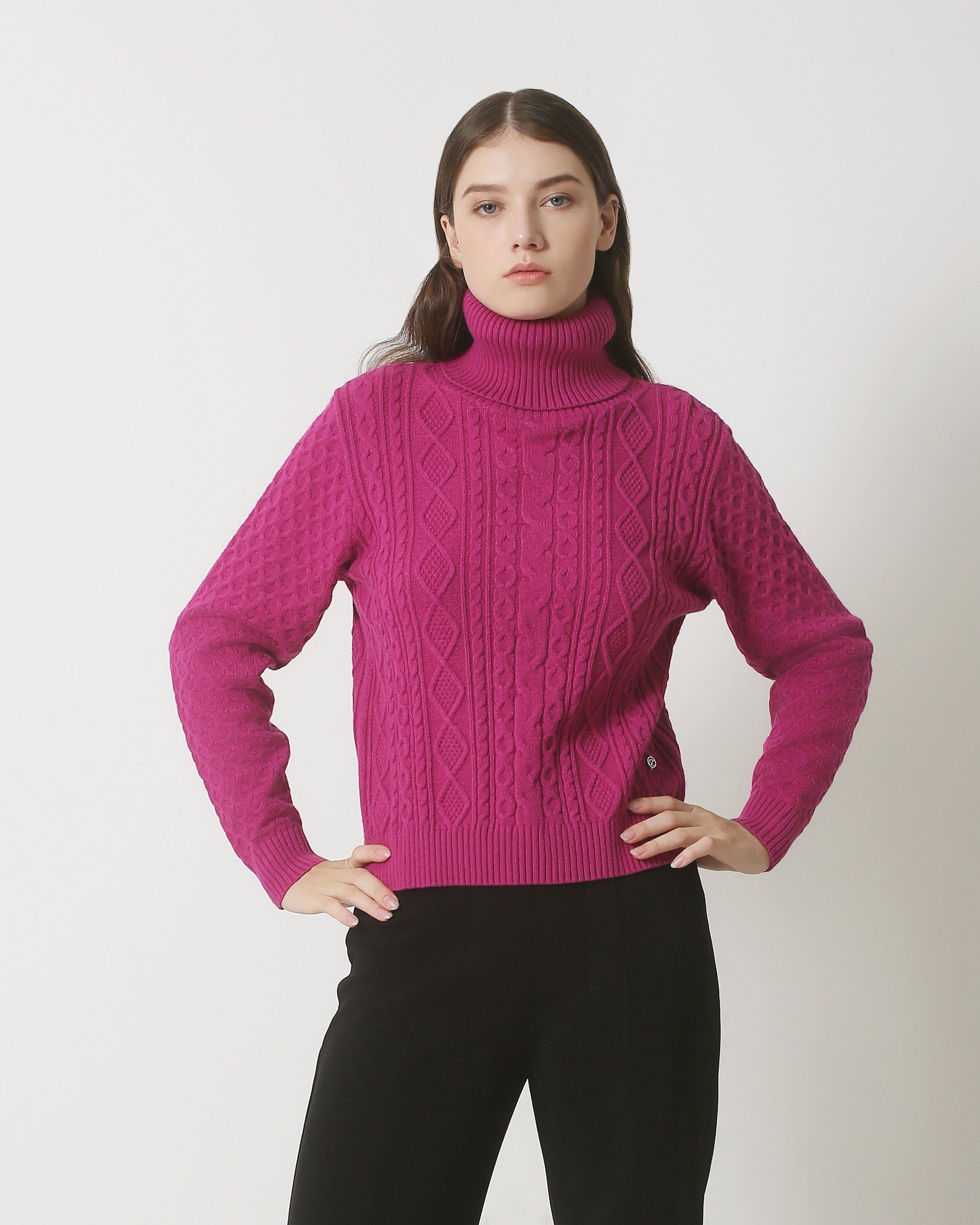 23845 Paarse Turtle Neck Top | Purple