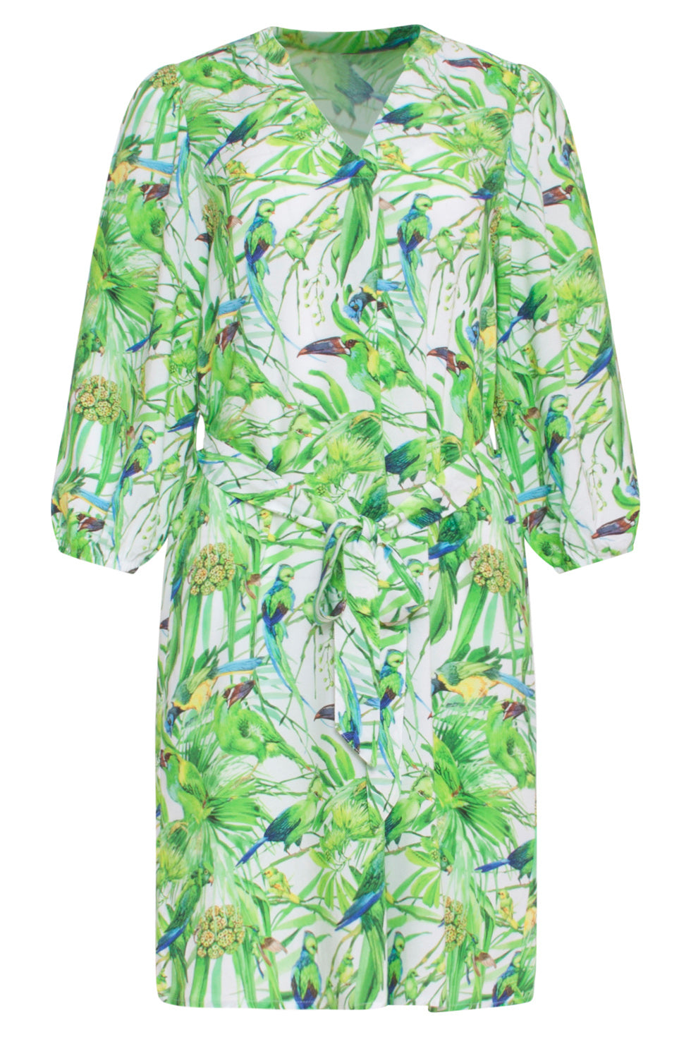 24058 Bird Print Jurk Met V-Hals | White-Light Green
