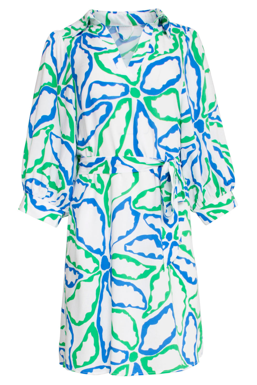 25052 Korte Jurk Met KraagGrafisch BloemenprintCobalt | Cobalt-green