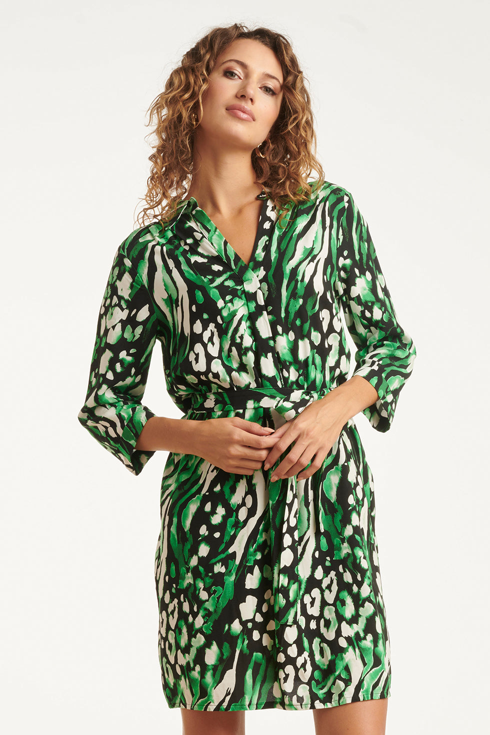 25679 GroEn En Zwart Dierenprint Jurk Met V-Hals en Kraag | Black - Green