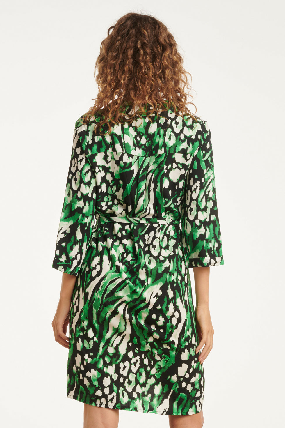 25679 GroEn En Zwart Dierenprint Jurk Met V-Hals en Kraag | Black - Green