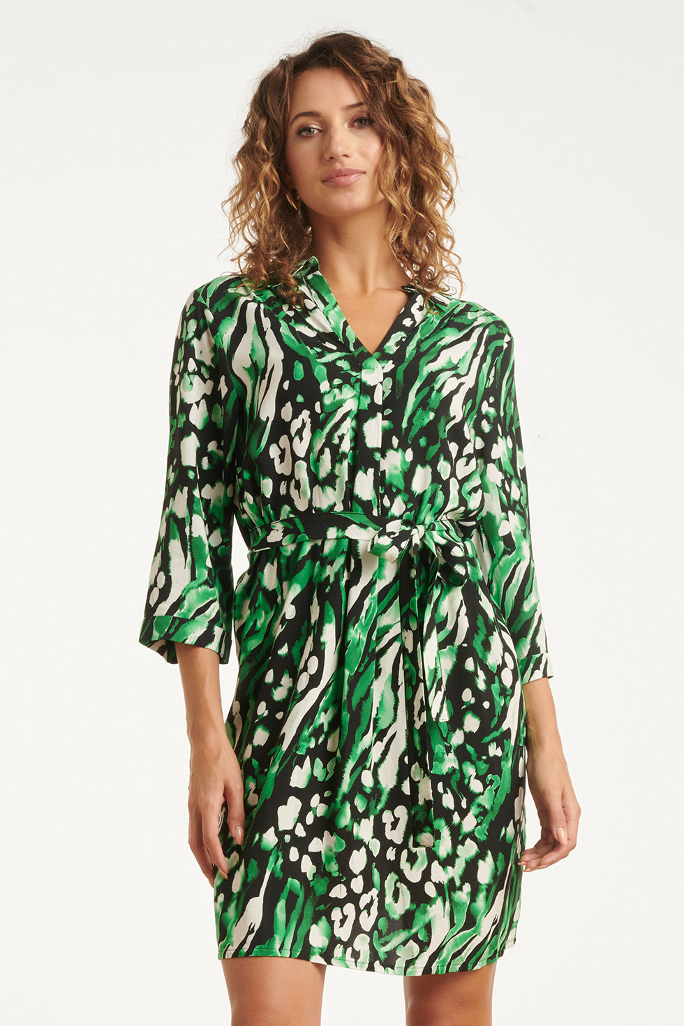 25679 GroEn En Zwart Dierenprint Jurk Met V-Hals en Kraag | Black - Green