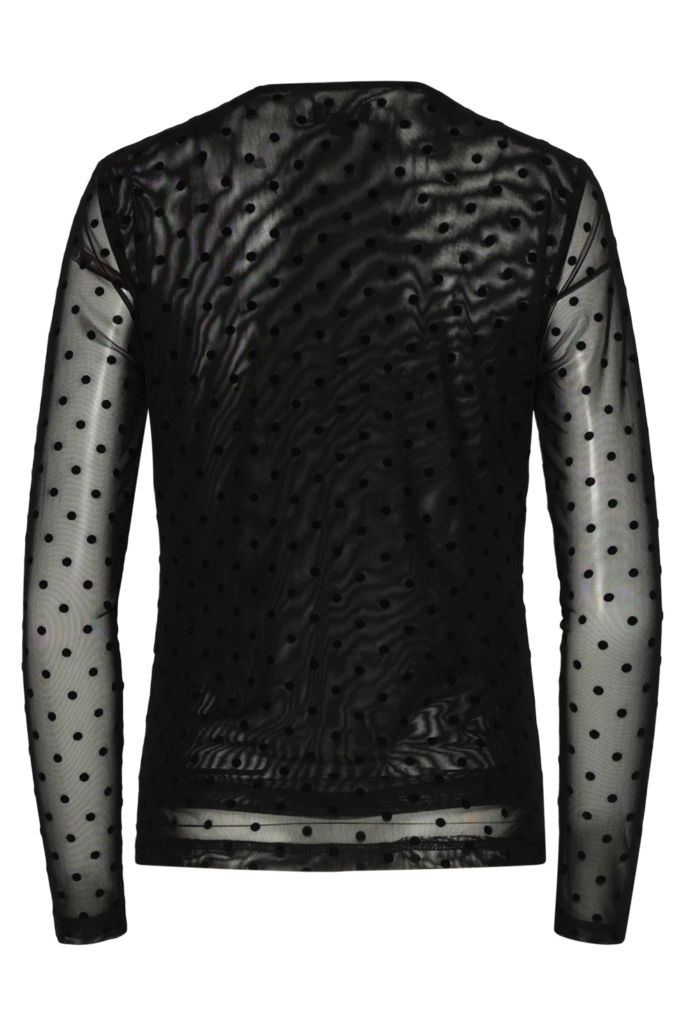 25762 – Flock Mesh Top Met Velvet Dots | Black