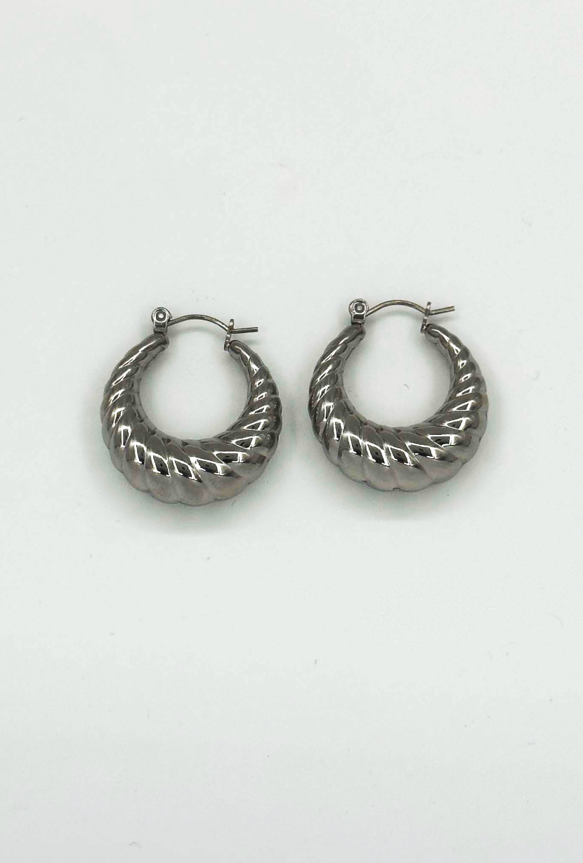 60053 Title: RoestvrijstalEn en Hoepel Oorbellen Met Textuur | Silver