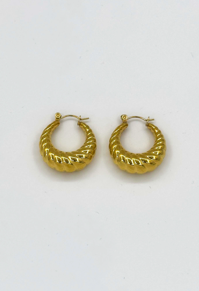 60053 Title: Roestvrijstalen Hoepel Oorbellen Met Textuur | Gold