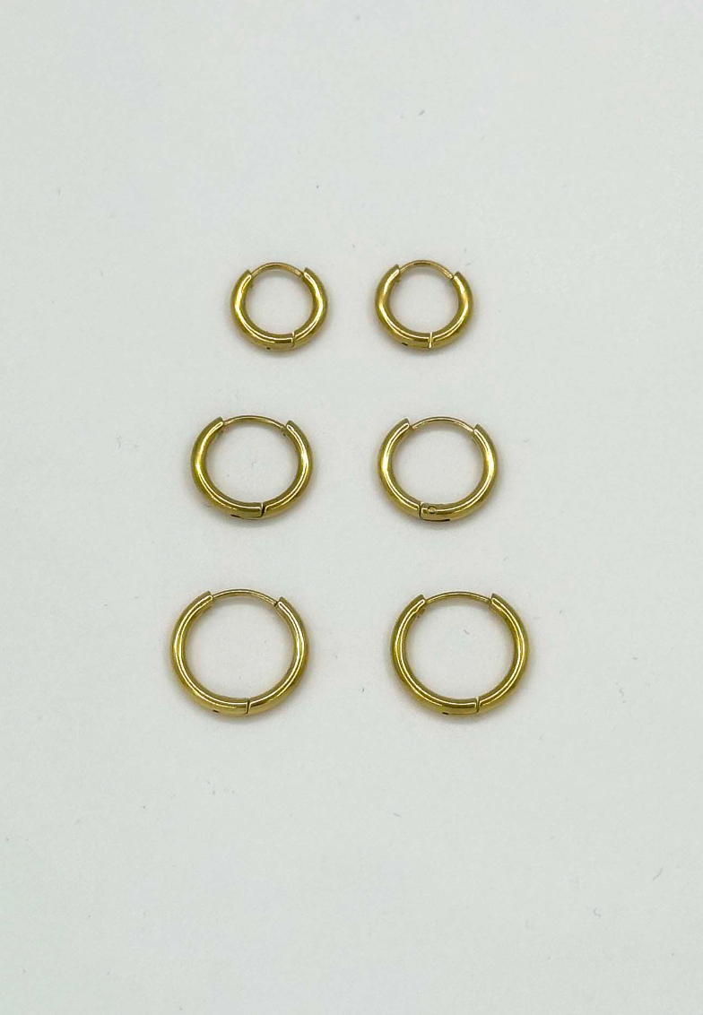 60055 Roestvrijstalen Hoepel Oorbellen Set | Silver