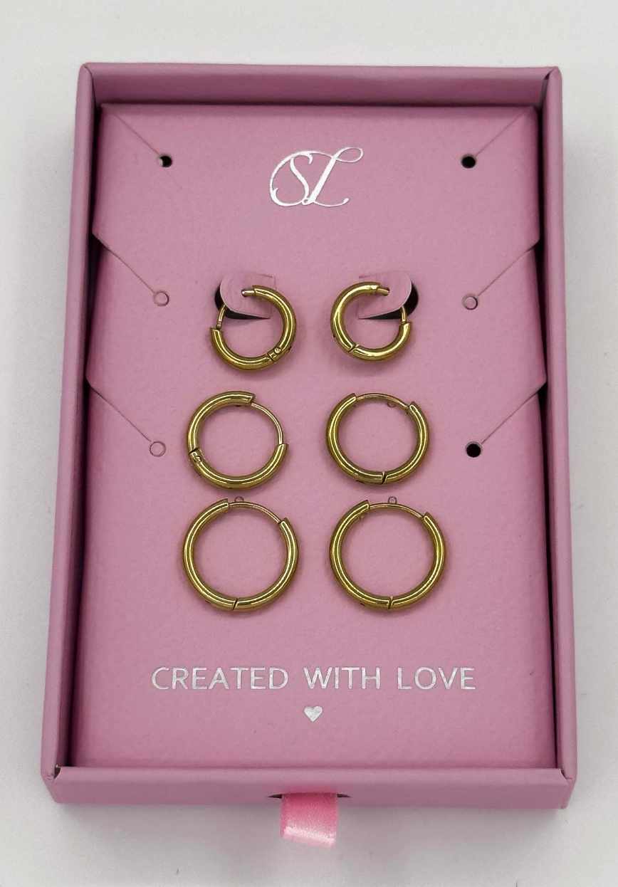 60055 Roestvrijstalen Hoepel Oorbellen Set | Silver