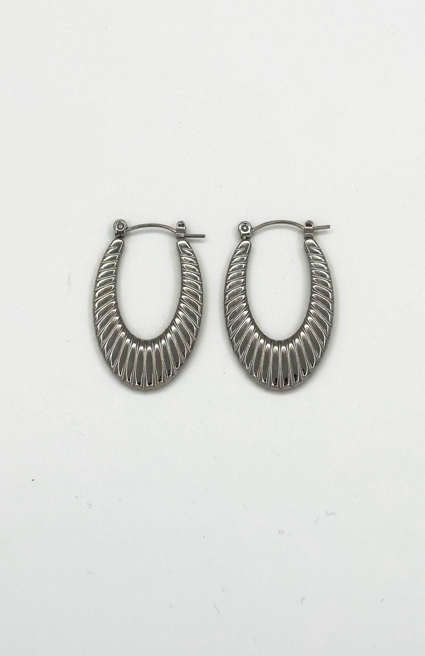 60057 Title: RoestvrijstalEn en Hoepel Oorbellen Met Textuur | Silver