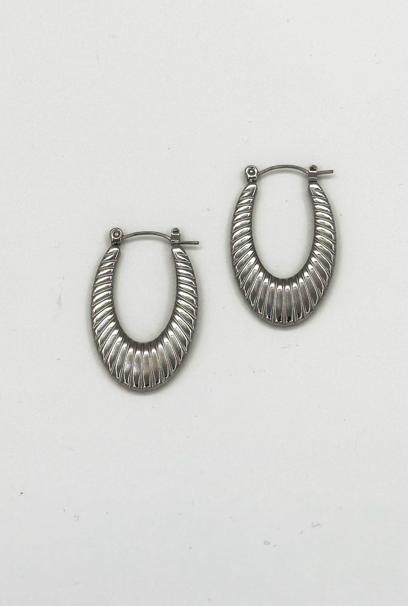 60057 Title: RoestvrijstalEn en Hoepel Oorbellen Met Textuur | Silver