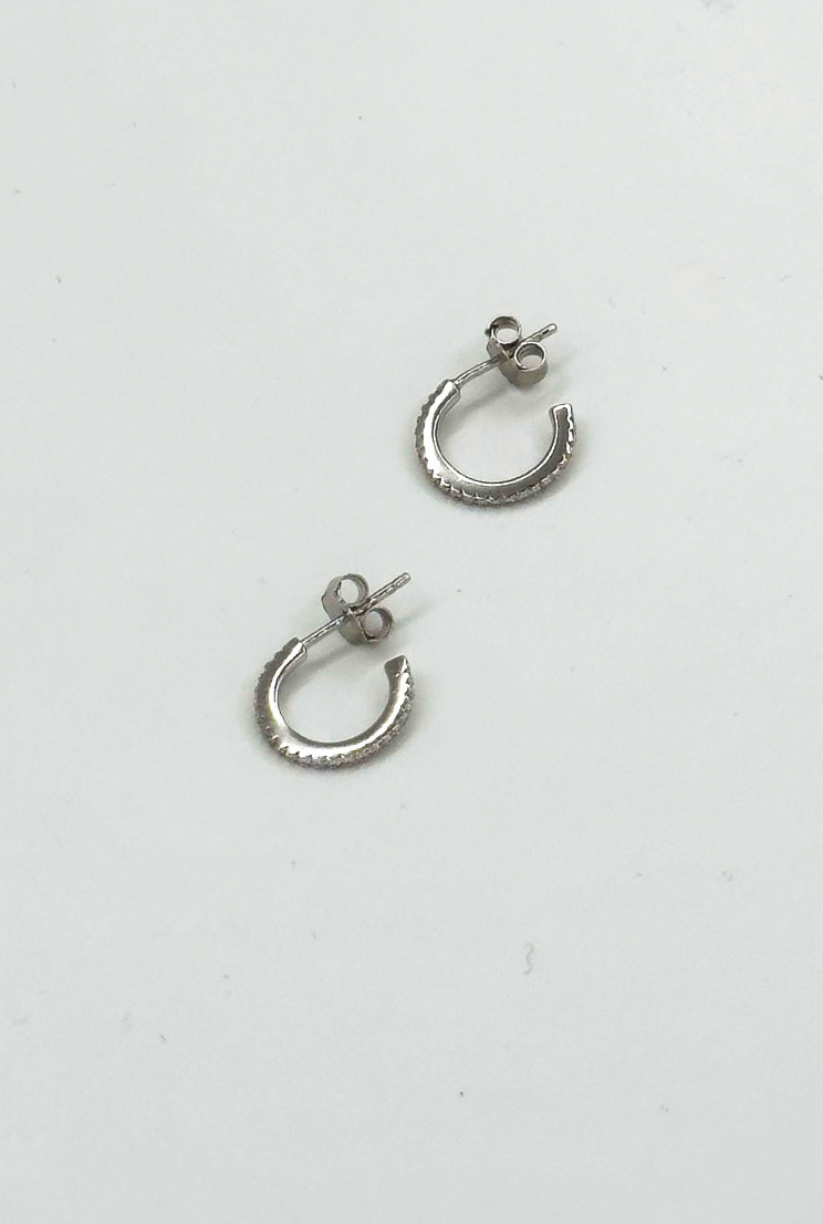 60062 En Glanzende Hoepeloorbellen Met Zirkonia Kristallen | Silver