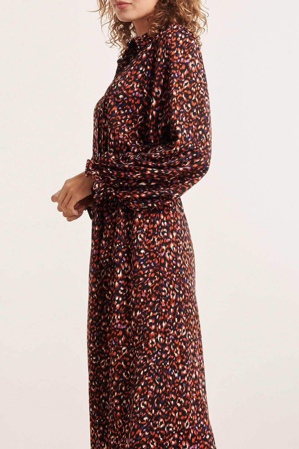 23810 Multi Dierenprint V-Hals Jurk | Muticolour