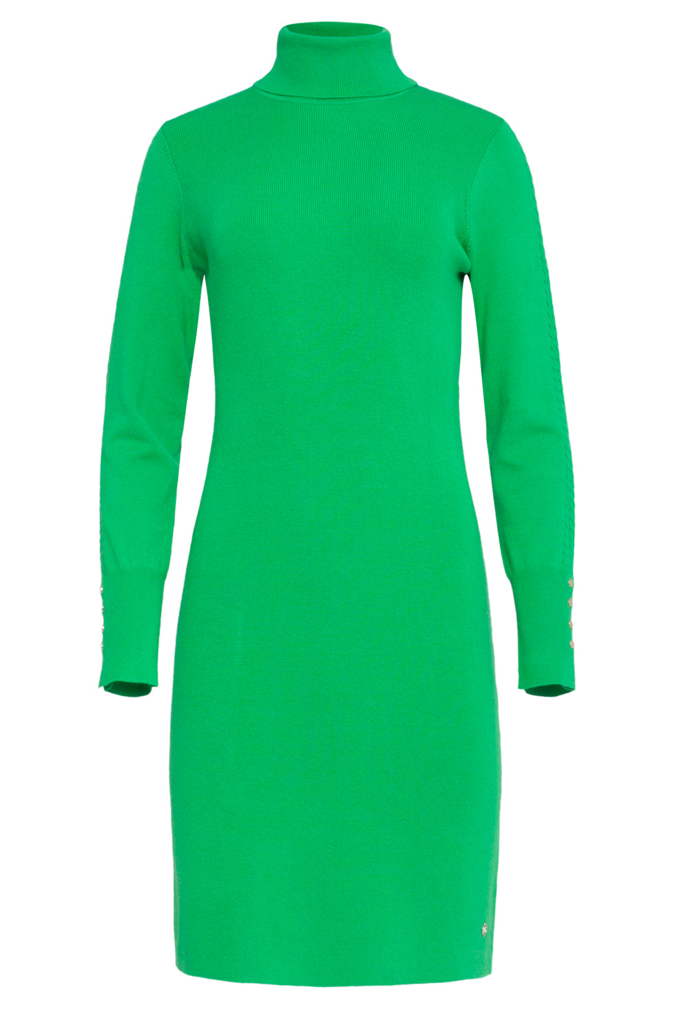 23841 Turtle Neck Jurk | Green