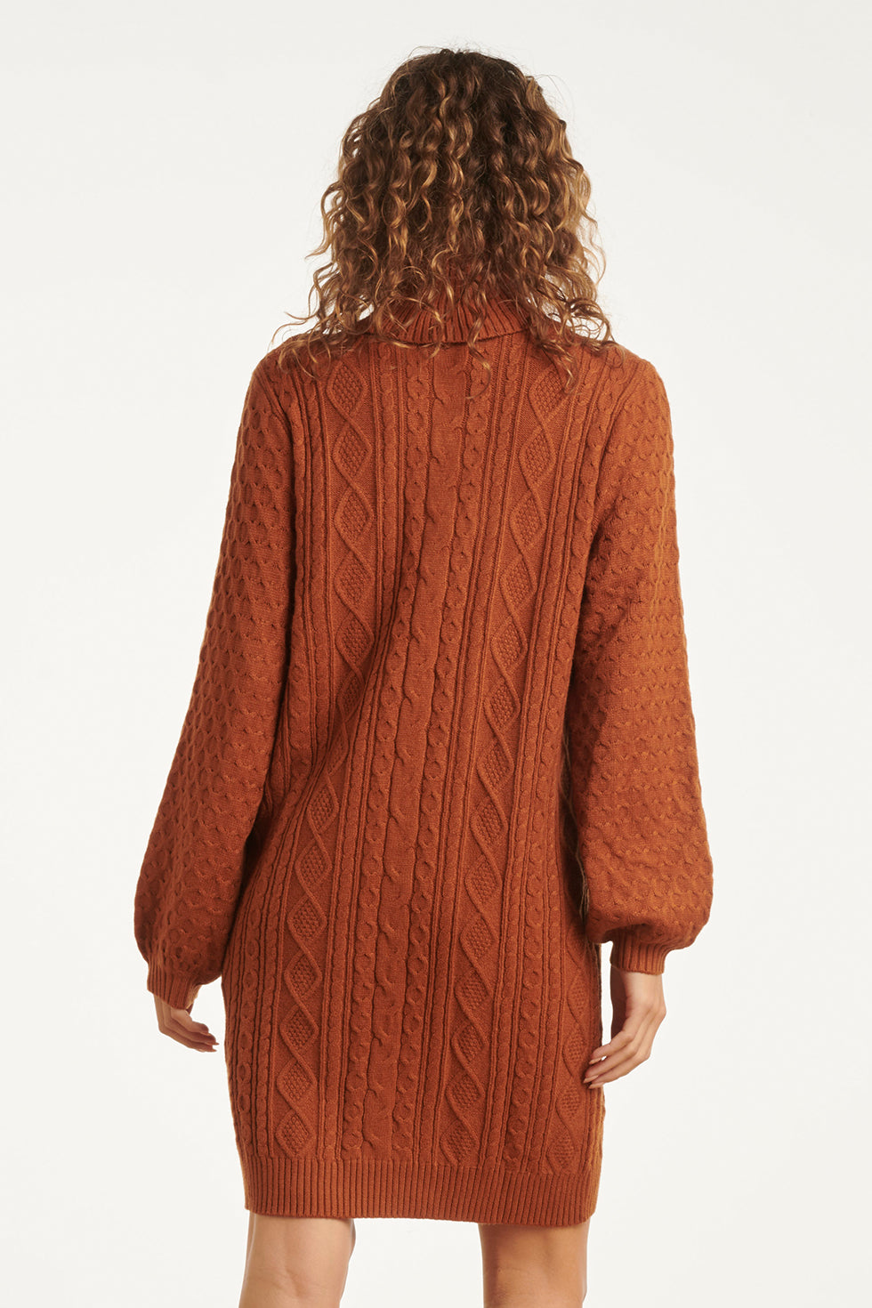 23843 E Turtle Neck Jurk | Brown