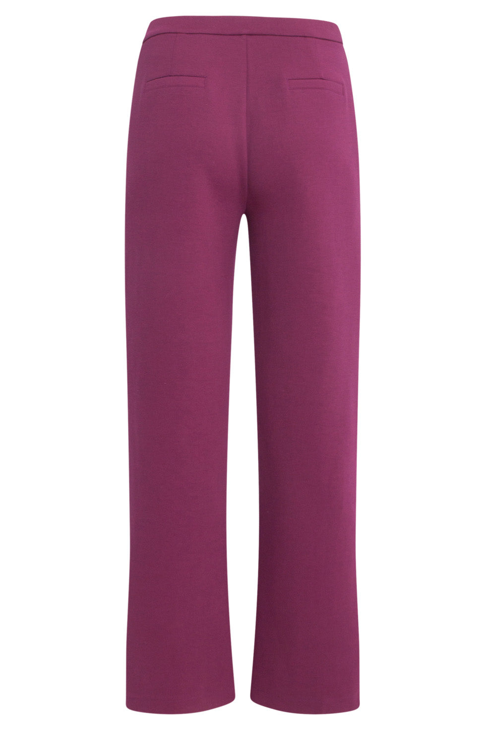 24590 Stretchy Paarse Flared Broek | Purple