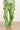 25177 Lime Linnen Broek | Light Green