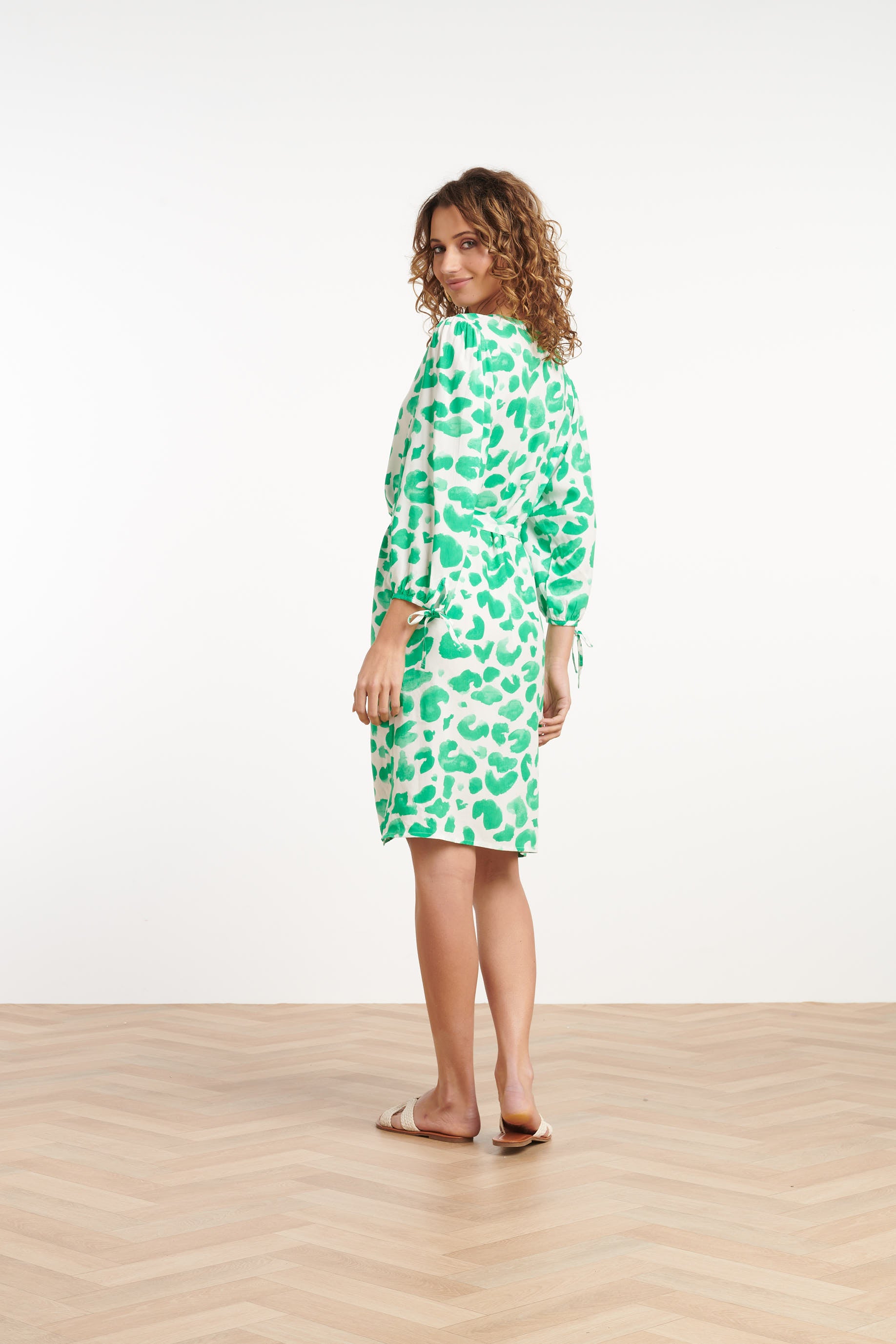 25410, Jurken | White-Green