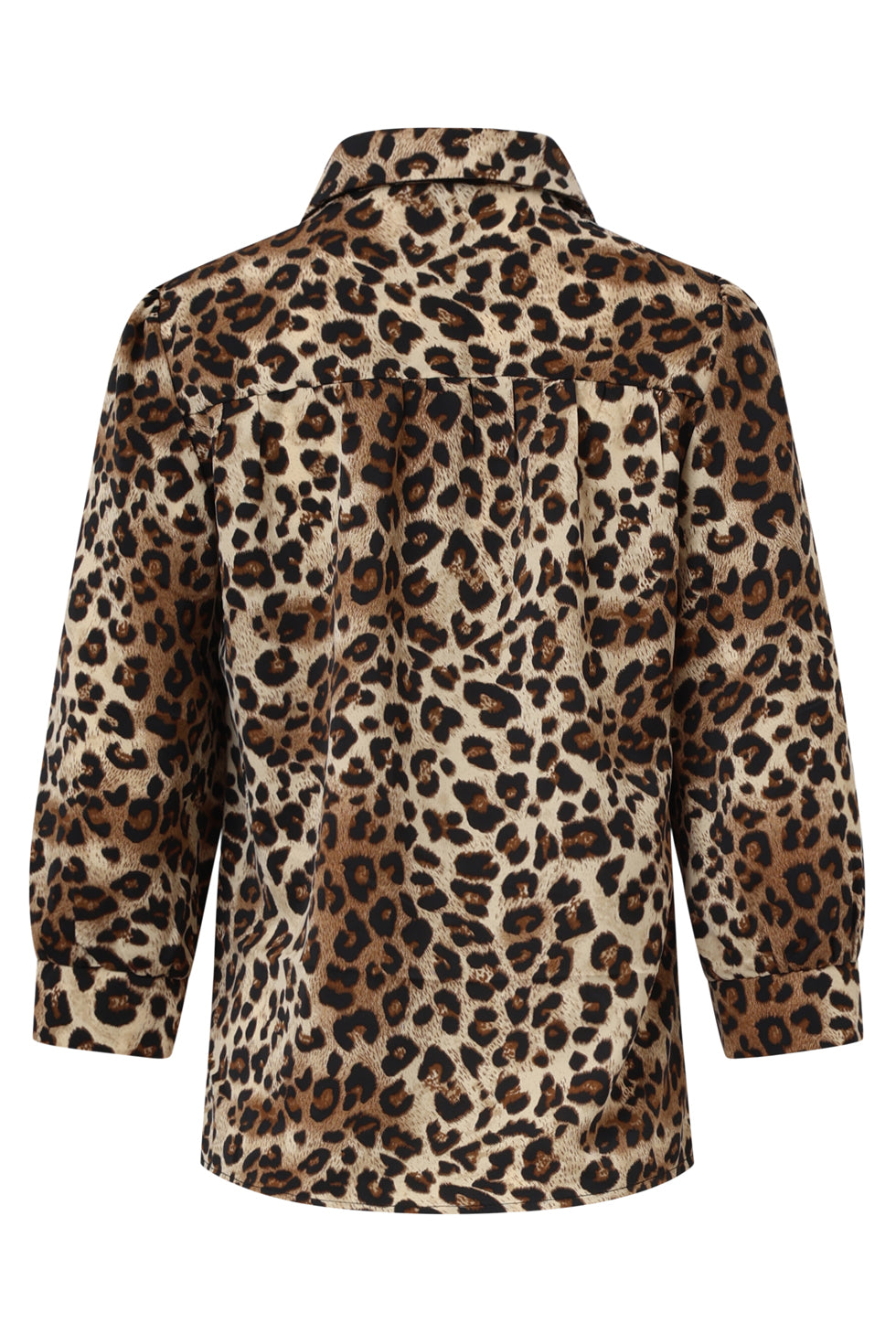 35117, Tops | Sand-Multicolour