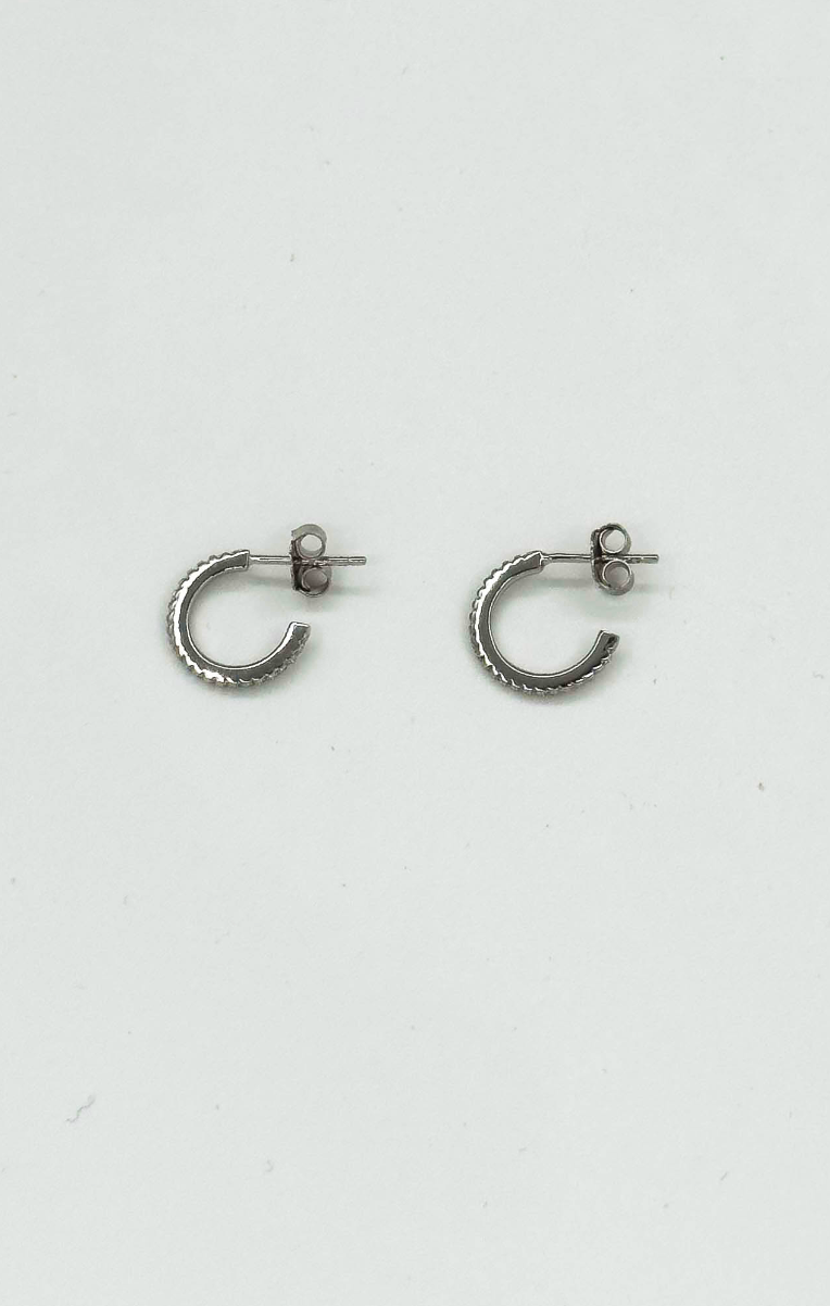 60062 En Glanzende Hoepeloorbellen Met Zirkonia Kristallen | Silver